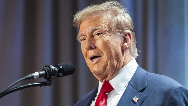 Trump lauds tariffs as a powerful tool. Could they help cool the planet?