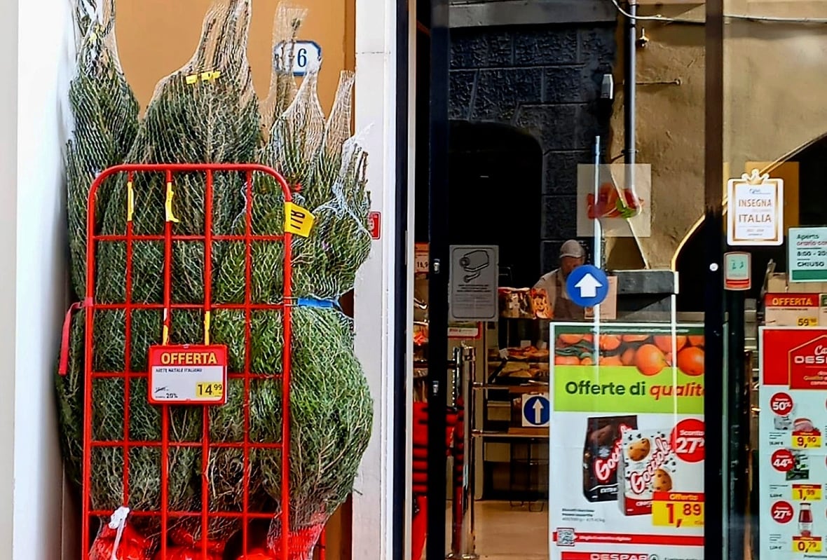 Why Christmas trees in Europe are so much cheaper than in Canada