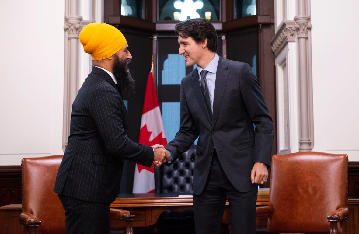 Will Parliament be a 'gong show' again in 2025?