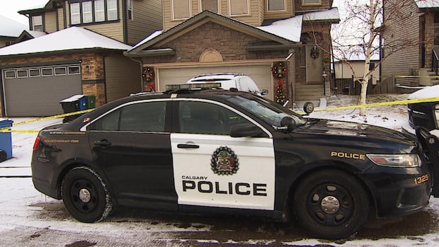 2 victims in Calgary domestic violence case remembered as amazing mother and grandfather
