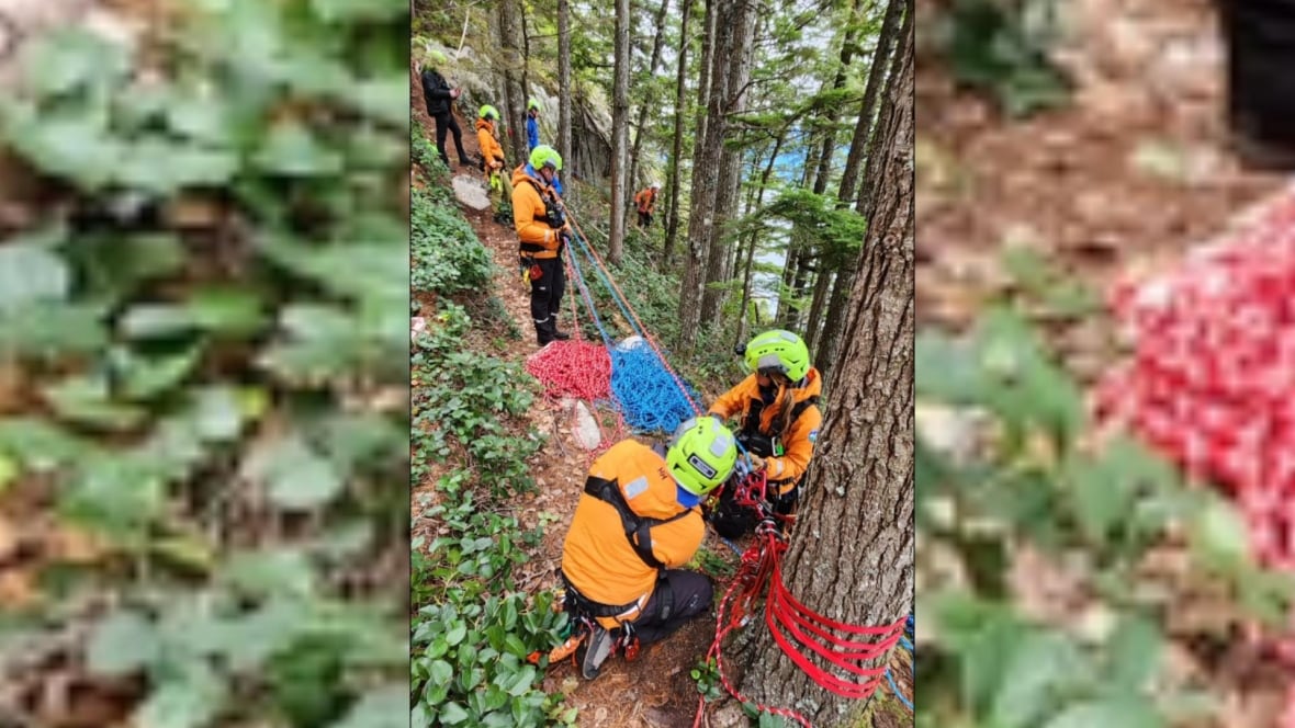 BASE jumper rescued from Squamish, B.C., mountain after dangling off cliff face