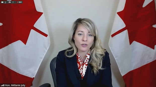 Canada launches fentanyl crackdown to convince Trump tariffs aren't necessary