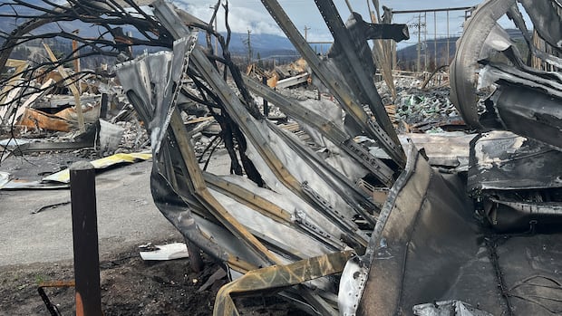 Canadian forests primed for more severe wildfire days, new research warns