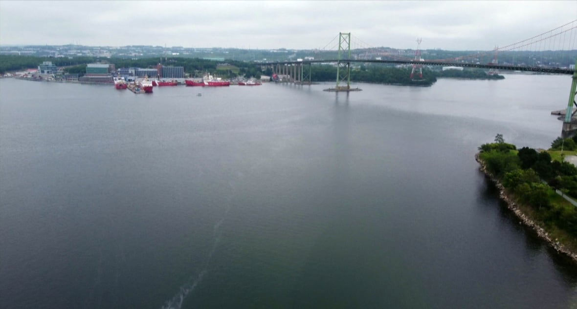 Canadian Navy sailor dies after boat capsizes in Halifax's Bedford Basin