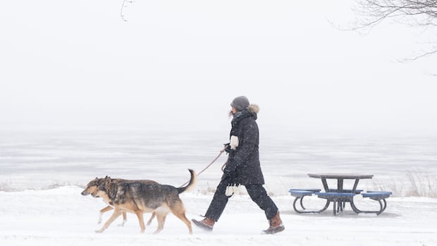 Canadian winter living up to its reputation as Arctic air chills Eastern provinces