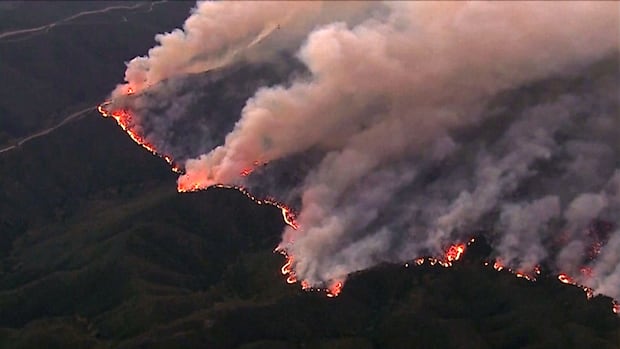 Did we surpass 1.5 C of warming in 2024? It depends on who you ask