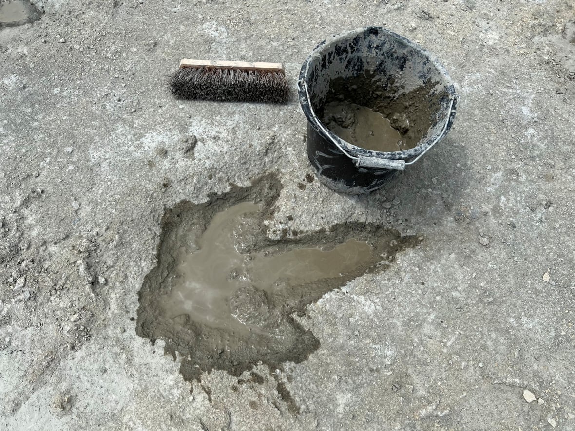 'Dinosaur highway' uncovered in England dating back 166 million years