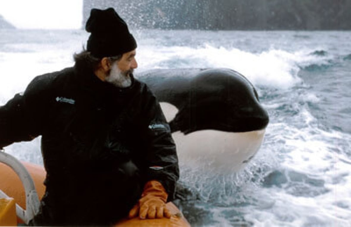 Far from dead in the water, N.S. sanctuary hopes whales arrive in 2025