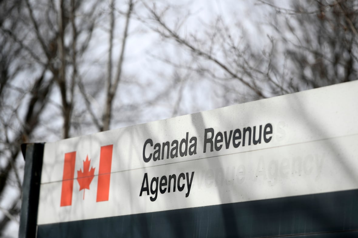 Feds promised to test new 'automatic' tax filing service â but recycled an old program