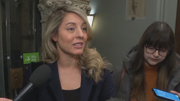 Foreign Affairs Minister MÃ©lanie Joly not running for Liberal leadership