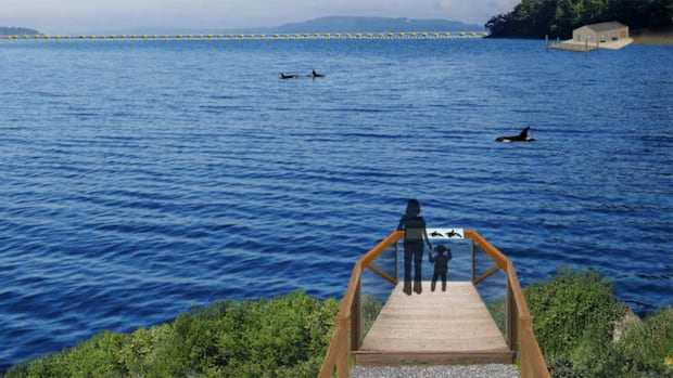 France says no to retiring 2 orcas at proposed N.S. whale sanctuary