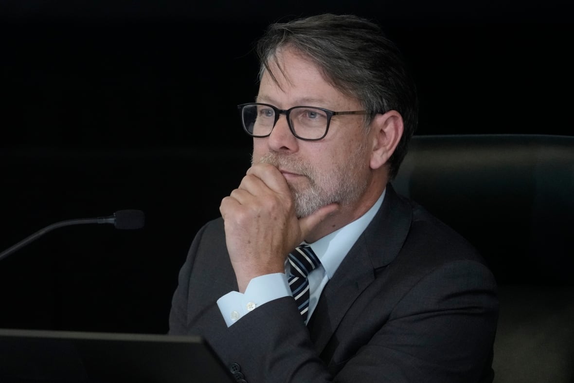 Liberals say no changes coming for leadership race, despite risk of foreign interference
