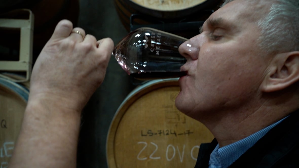 Raise a glass: Wine industry in B.C.'s Okanagan toasts resilience after devastating 2024 freeze