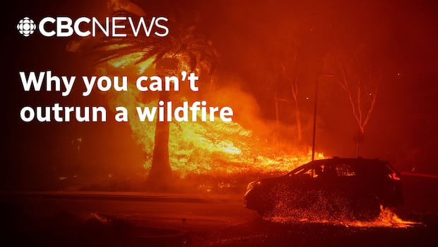 Southern California gets much-needed rain after weeks of fire, but toxic ash and mudslides a concern