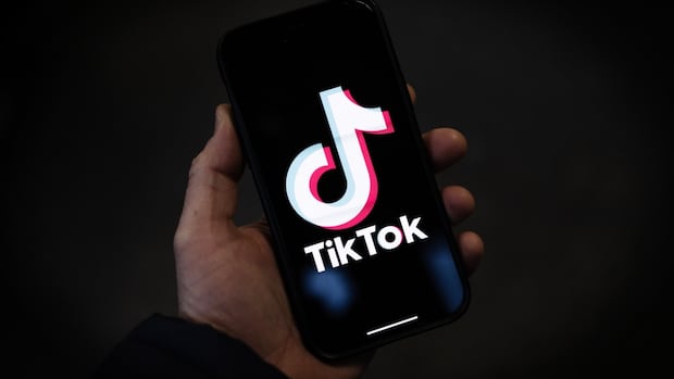 TikTok tells users app service is 'back in the U.S.' after brief shutdown over ban