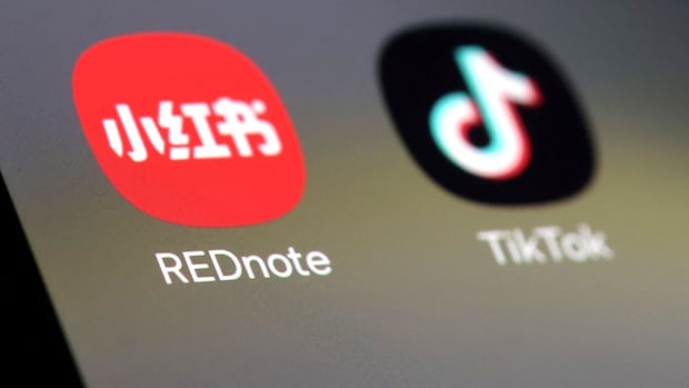 Trump has postponed the TikTok ban. Was that legal?