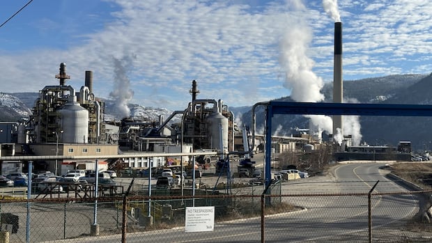 Trump's threatened tariffs could have $69B impact on B.C.'s economy by 2028, province says