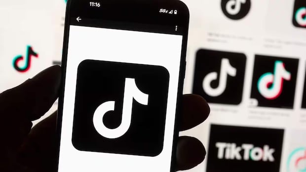 Why do U.S. lawmakers want to ban TikTok? What to know ahead of today's U.S. Supreme Court hearing