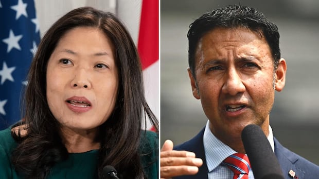 2 more Trudeau cabinet ministers won't seek re-election