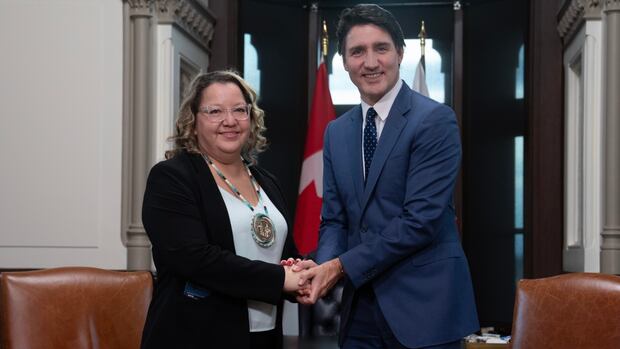 AFN regional chiefs accuse national chief of stoking division on child welfare reform