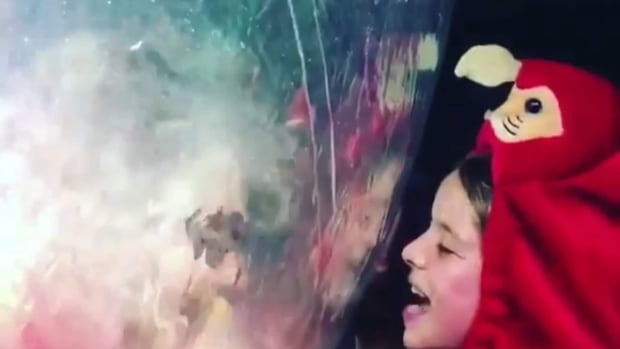 B.C. teen who worked with The Flaming Lips gets posthumous album release