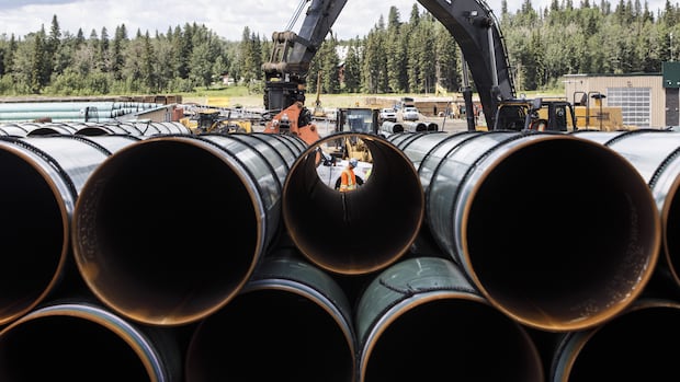 Big shift in Canadian policy needed for new energy export projects, Enbridge CEO says