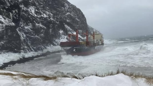 Crew rescued after cargo vessel runs aground on Newfoundland's west coast
