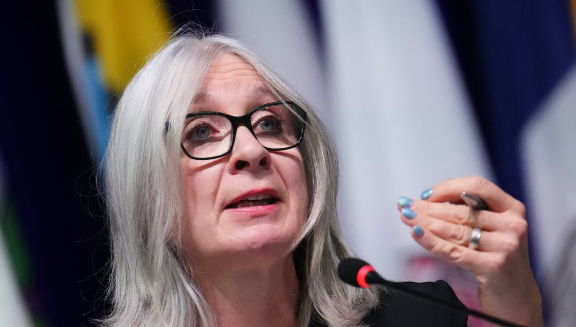 Indigenous Services routinely fails to spend millions approved for children's programs, document shows