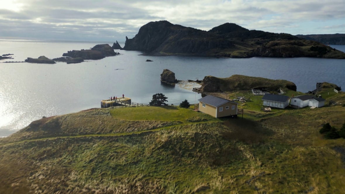 Interest in N.L. as travel destination spikes amid growing U.S. tensions, tourism minister says