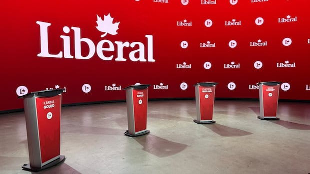Liberal leadership: Here's where the candidates stand on key issues from housing to Trump tariffs
