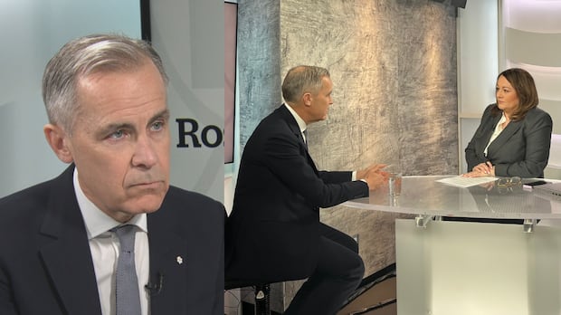 Mark Carney says former prime minister Stephen Harper asked him to be finance minister