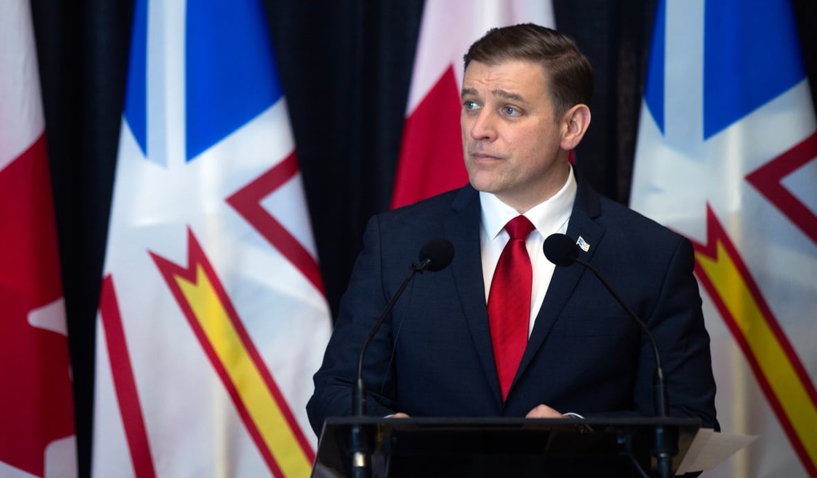 N.L. premier steps down, says 'I must now move on' at surprise news conference