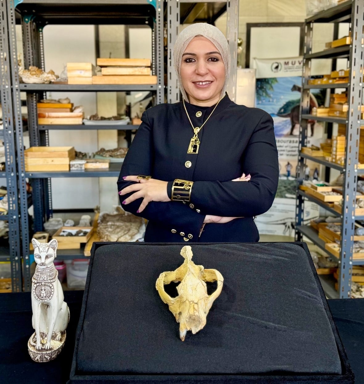 Newly discovered ancient apex predator had knife-sharp teeth and bone-crushing jaws