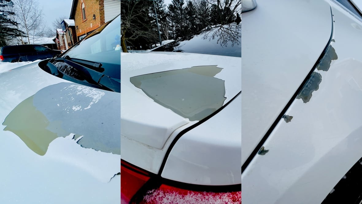 Peeling, flaking, bubbling off: Frustrated Hyundai owners say car paint is coming off in chunks