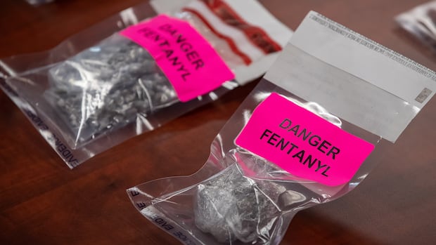 Poilievre promises to hit fentanyl 'kingpins' with mandatory life sentences