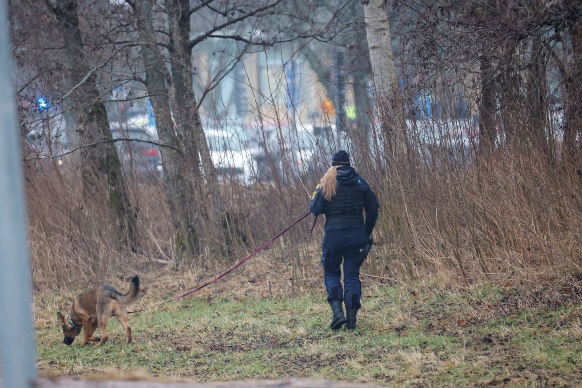 Several people killed in mass shooting at a school in Sweden