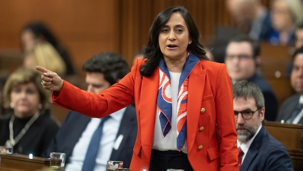 Transport Minister Anita Anand to reverse course and seek re-election: sources