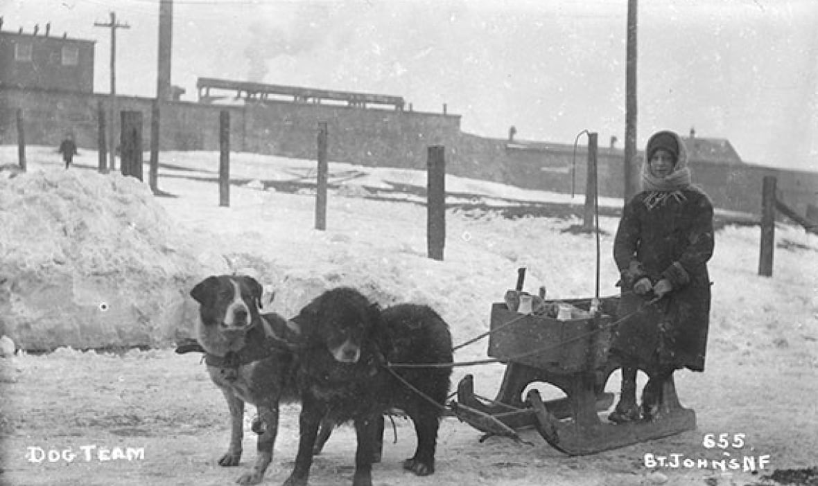 When Newfoundland charged tariffs on Canadian goods, the cost of living was through the roof