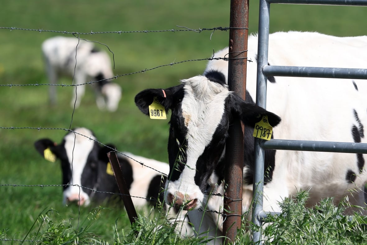 Bird flu is hitting the U.S. hard. Now, migratory birds are flying north