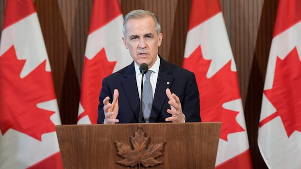 Canada expecting smaller hit from Trump's global tariffs, says N.B. premier after meeting PM