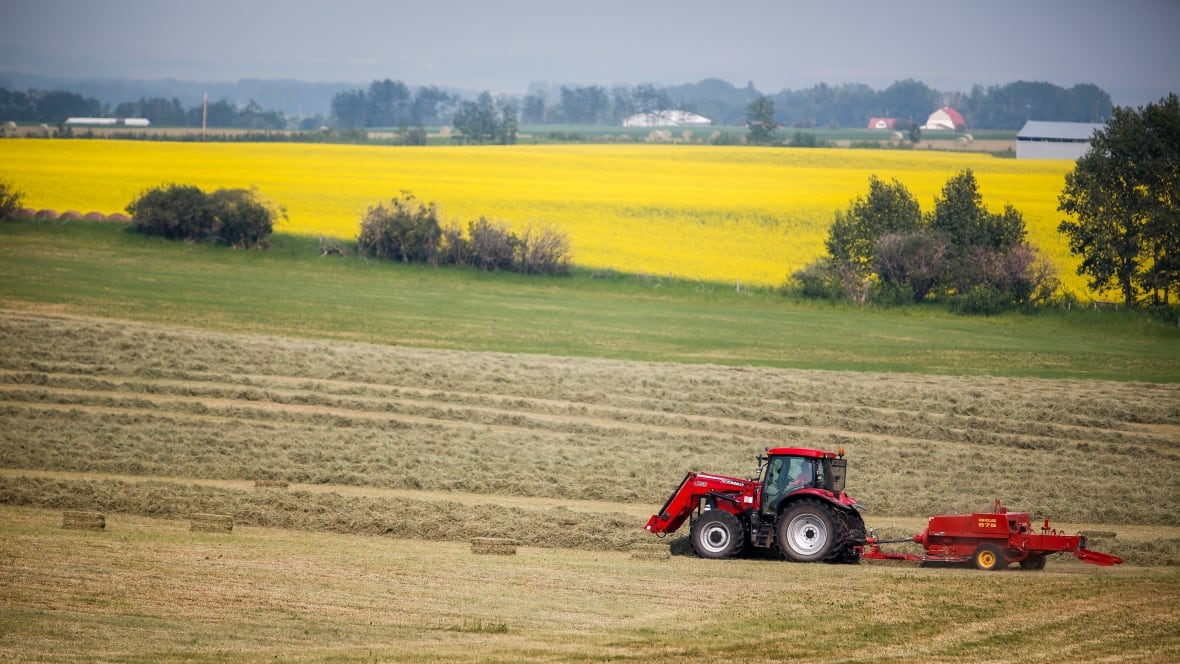 China announces retaliatory tariffs on some Canadian farm, food products
