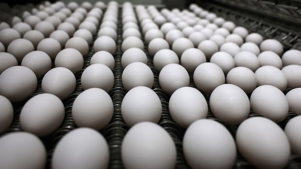 Desperate for eggs, the U.S. looks to Europe. Why haven't they asked Canada to shell out?