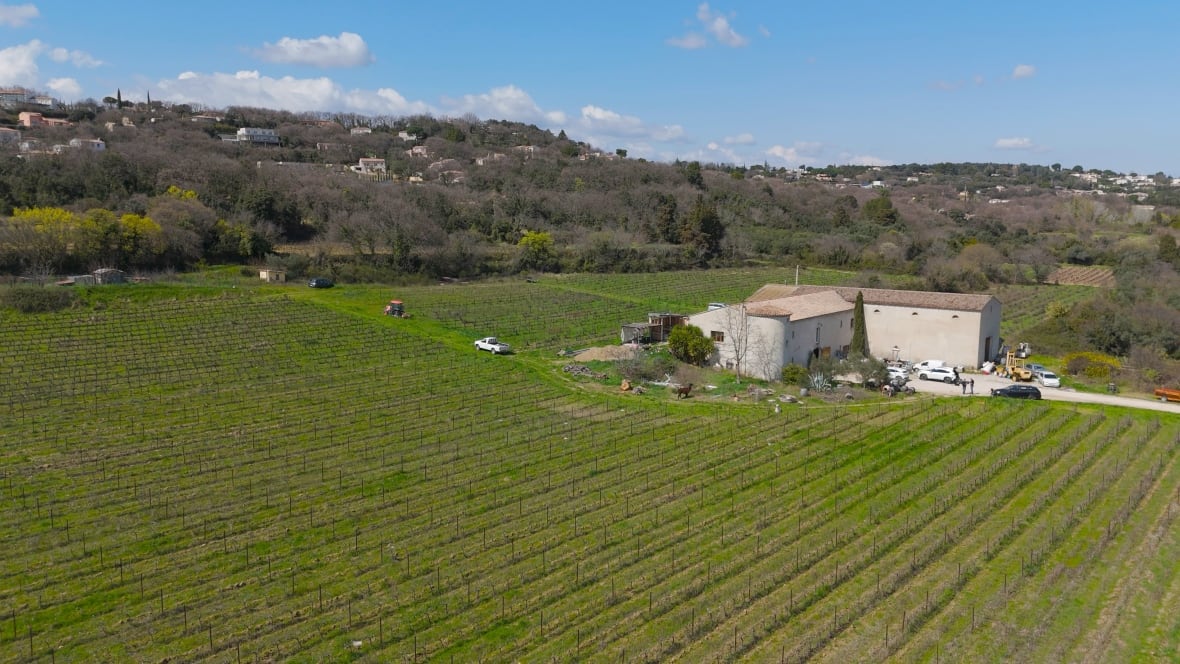 In France's southern wine region,Â Trump's tariff threats are already killing business