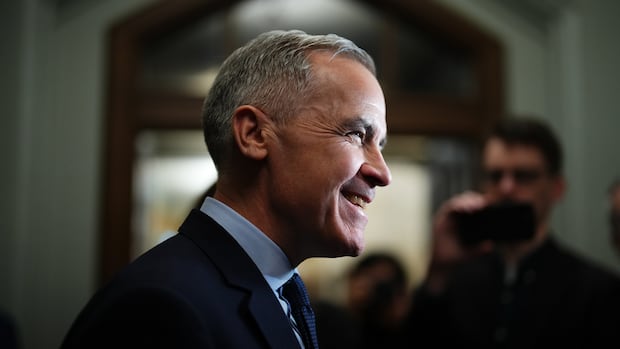 Liberals lagging other parties in candidates as election call could be days away