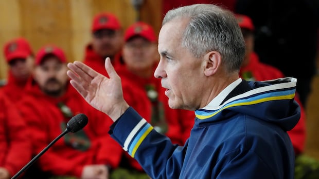 PM Carney planning to hold virtual meeting with premiers on Friday: sources