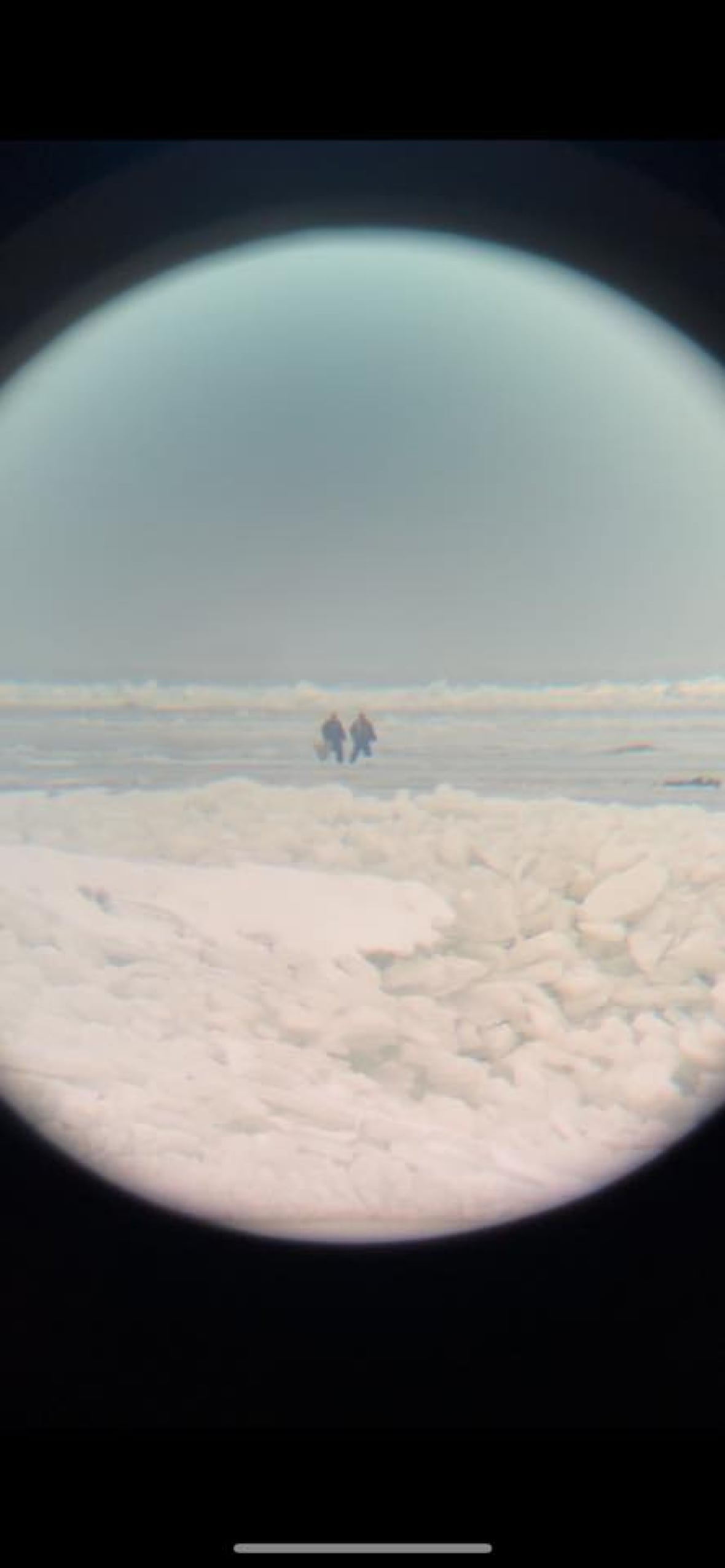 Rex the dog was trapped on icy Lake St. Clair â but the Lakeshore, Ont., community rallied to save him