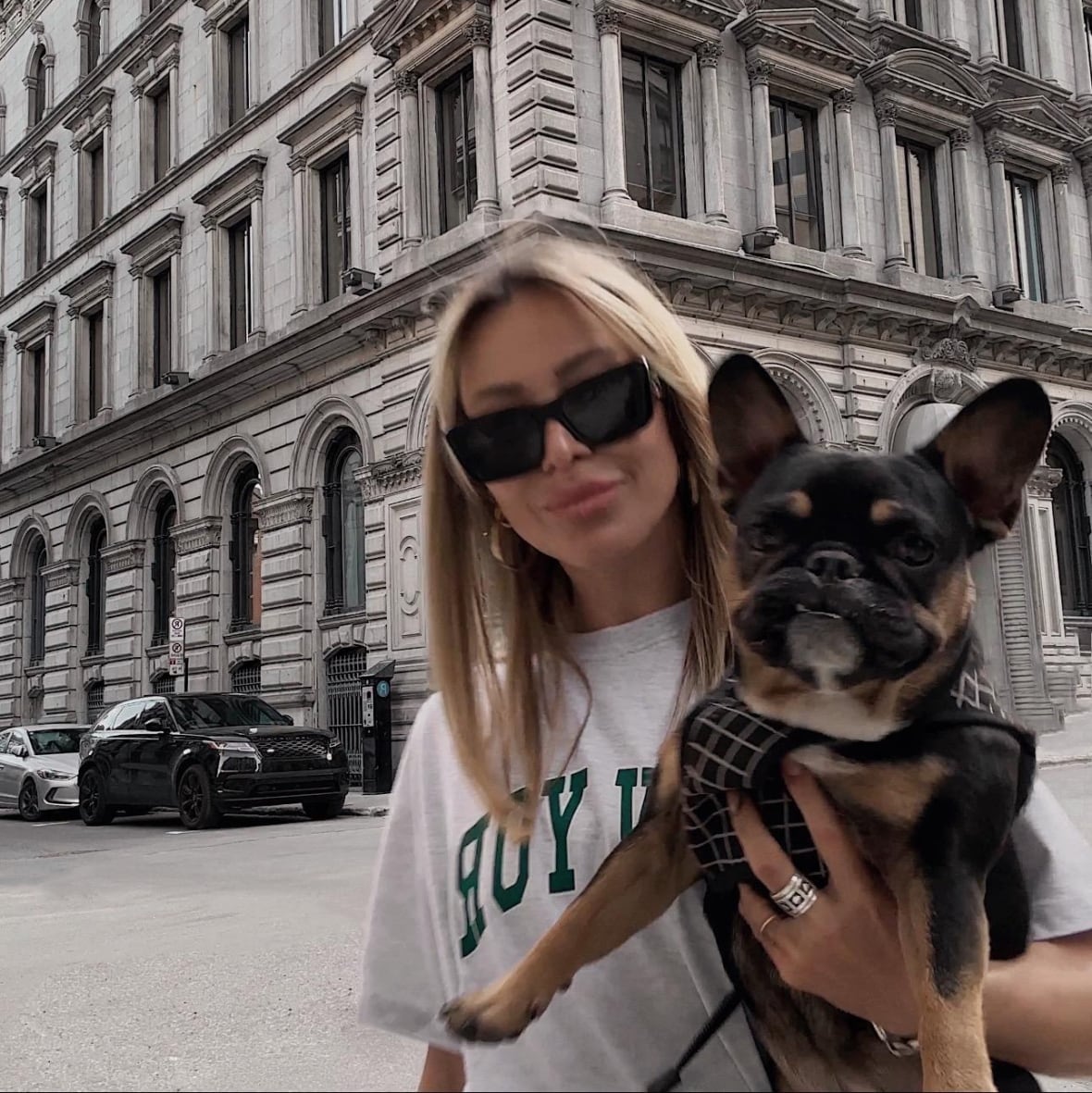 Spike in French bulldog surrenders raises alarm among animal advocates
