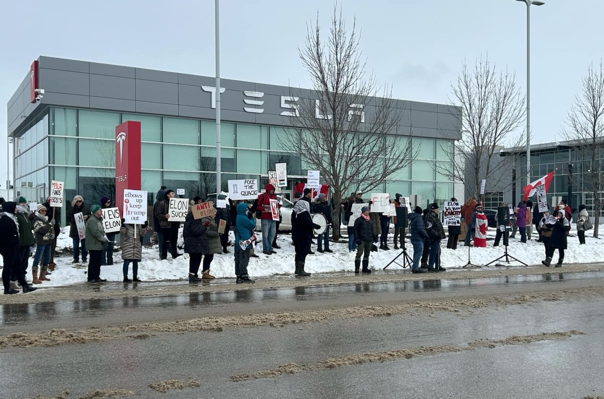 Tesla protests held in Canada as part of 'global day of action' against Elon Musk