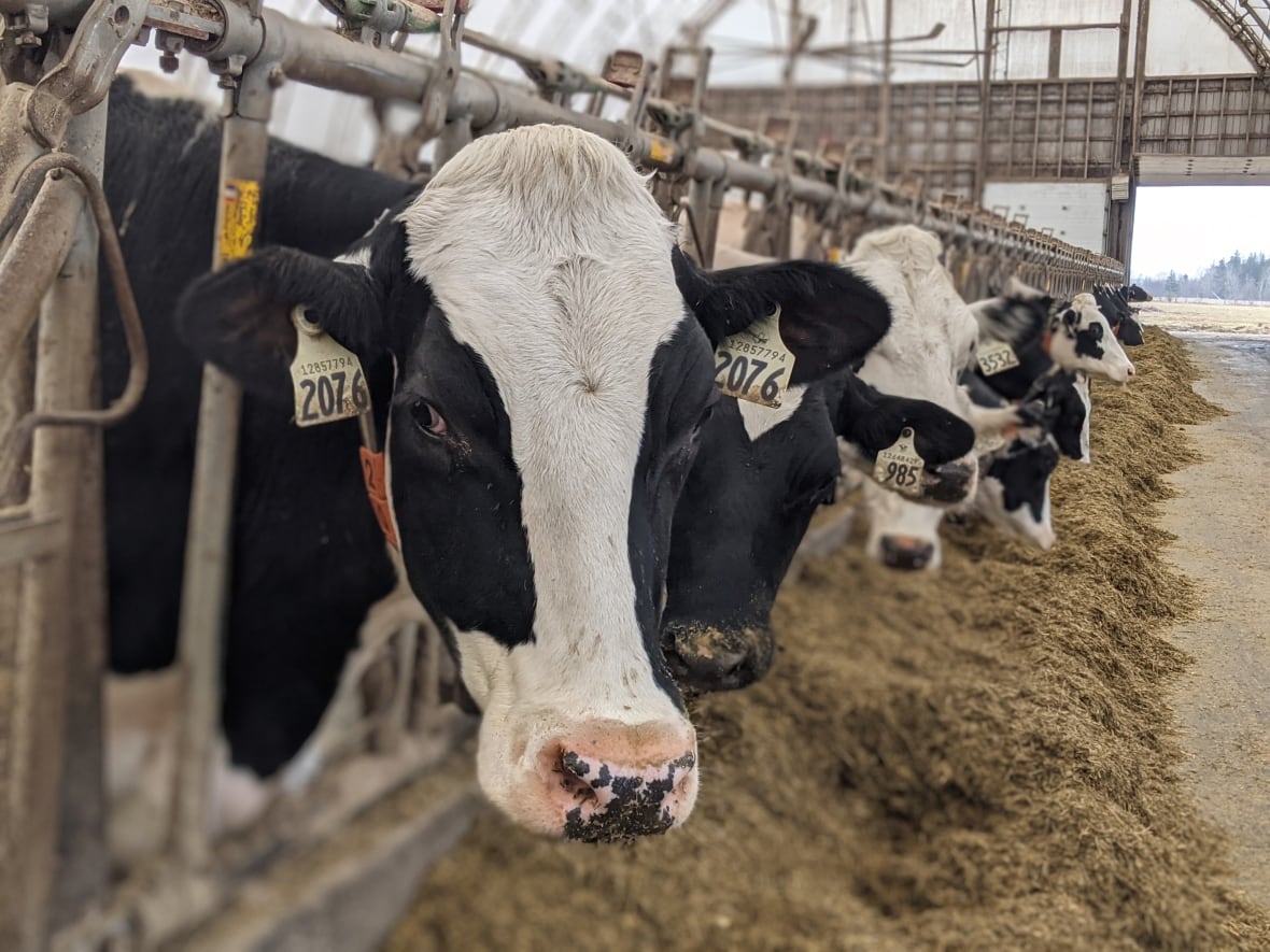 The trade war is here. You'll notice it at the grocery store first