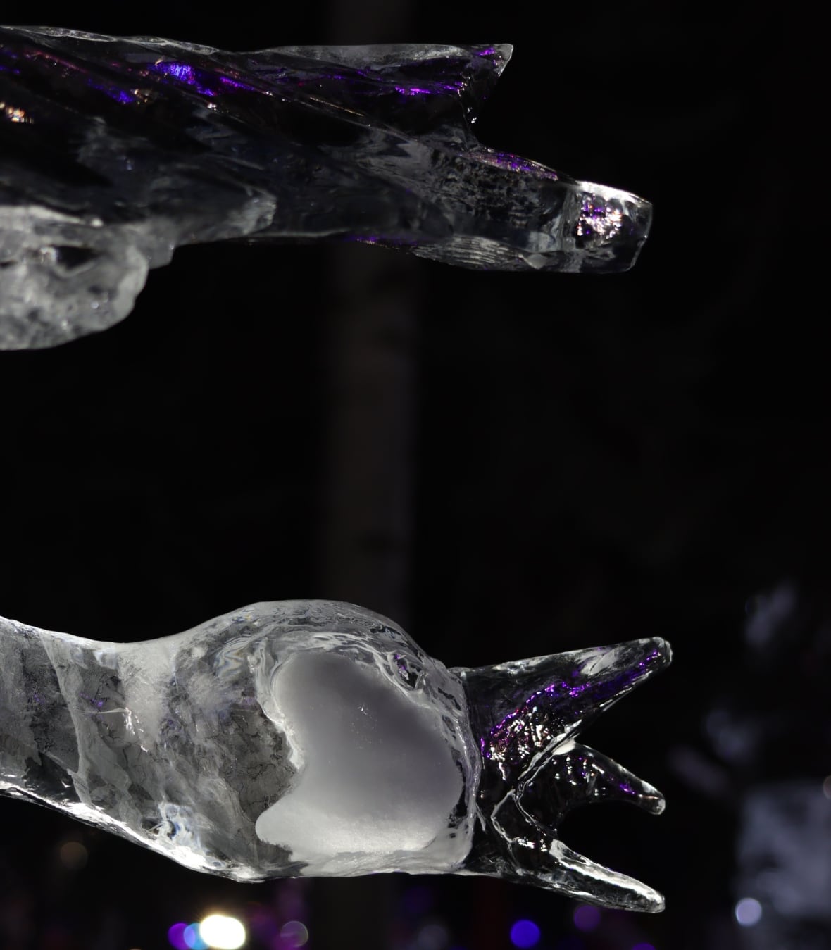 Those wild Canada goose-bald eagle fight photos continue to give chills â as an ice sculpture